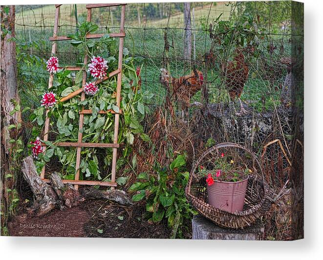 Flowers Canvas Print featuring the photograph Dahlias and Chickens by Denise Romano