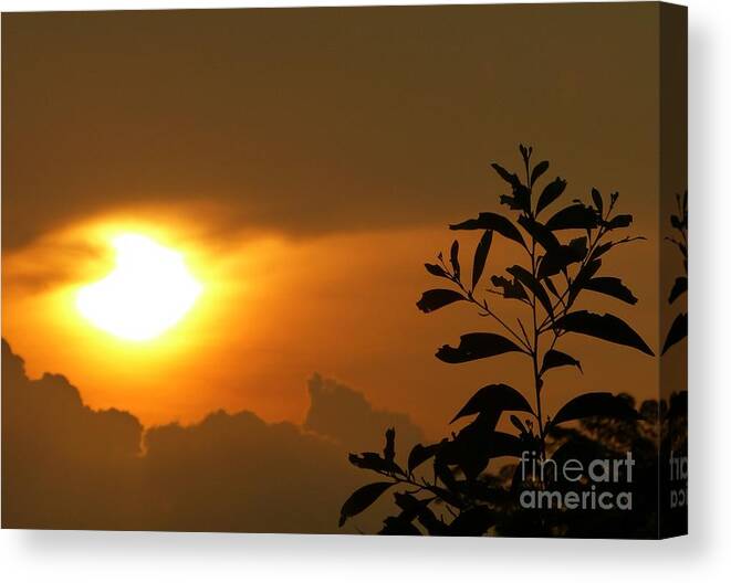 Sunset Canvas Print featuring the photograph Day's Done My Sun by Marguerita Tan