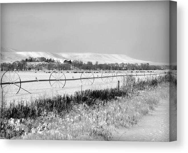 Winter Canvas Print featuring the photograph Deer Herd in Winter by Lisa Holland-Gillem