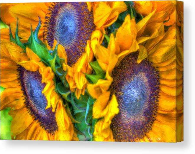 Agriculture Canvas Print featuring the photograph Delightfully Sunny by Heidi Smith