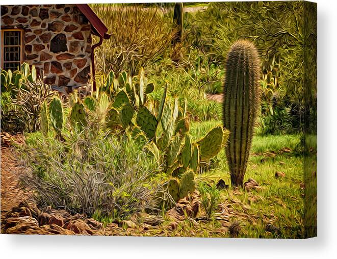 Arizona Canvas Print featuring the photograph Desert Dream by Mark Myhaver