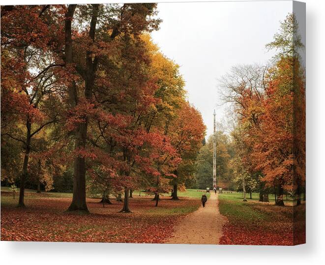 Landscape Canvas Print featuring the photograph Down the Avenue by Shirley Mitchell