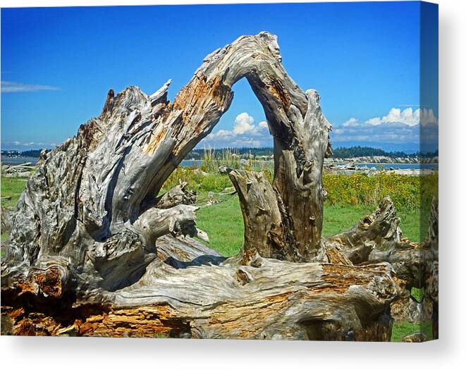 Driftwood Canvas Print featuring the photograph Driftwood on Iverson Beach Camano Island WA by Maralei Keith Nelson