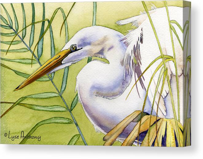 Watercolor Canvas Print featuring the painting Egret by Lyse Anthony
