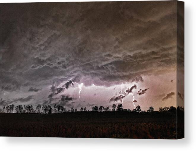 Storm Canvas Print featuring the photograph Electrodynamics by Terry Hrynyk