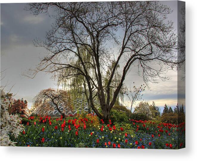 Enchanted Canvas Print featuring the photograph Enchanted garden by Eti Reid