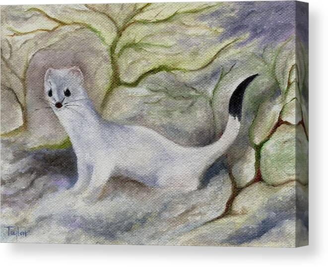 Ermine Canvas Print featuring the painting Ermine by FT McKinstry