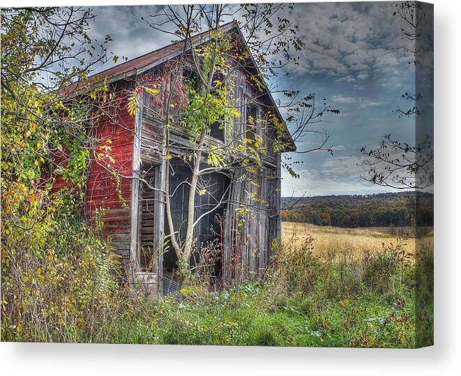 Shed Canvas Print featuring the digital art Extra Storage by Sharon Batdorf