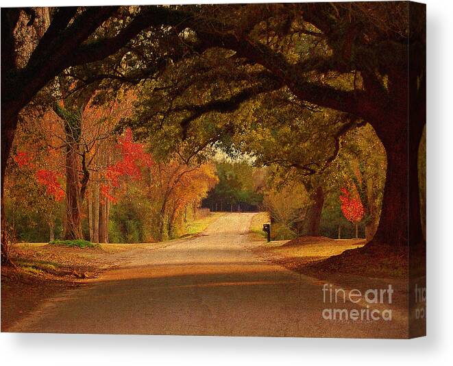 Fall Canvas Print featuring the photograph Fall Along A Country Road by Kathy Baccari