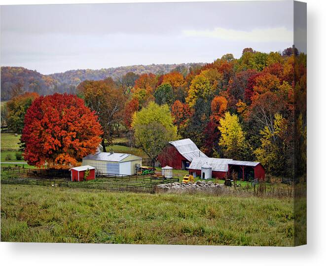 Fall Foliage Canvas Print featuring the photograph Fall Farmstead by Cricket Hackmann