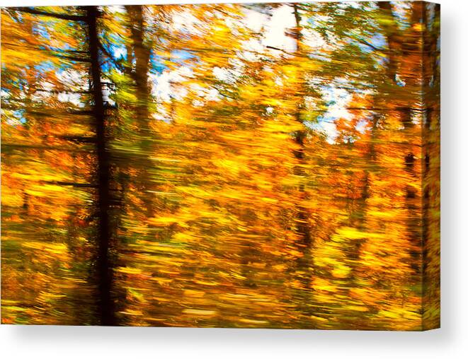 Autumn Canvas Print featuring the photograph Fall Motion by Michael Hubley