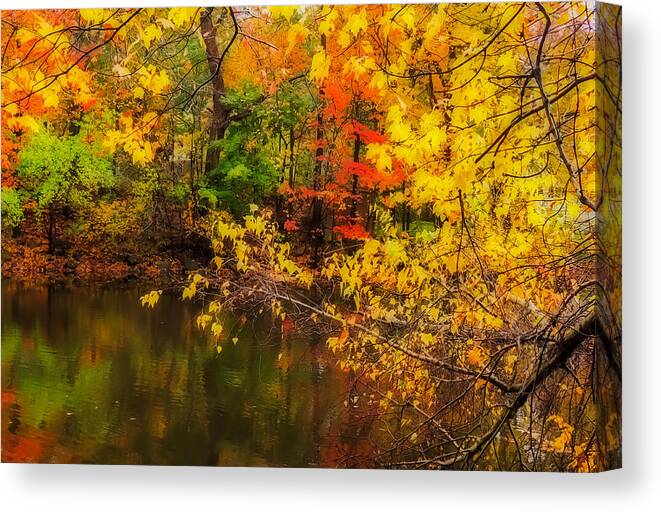 Nature Canvas Print featuring the photograph Fall Reflection by Robert Mitchell