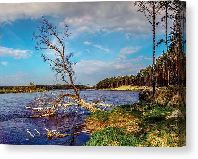 Landscape Canvas Print featuring the photograph Fallen by Dmytro Korol