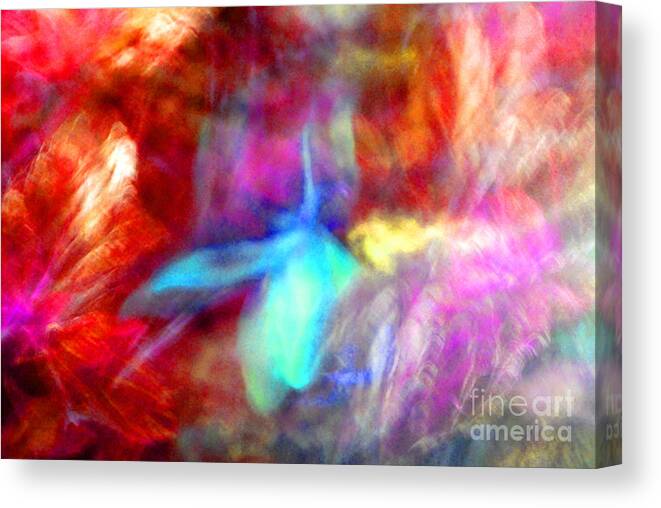 Abstract Canvas Print featuring the photograph Falling Petal Abstract Red Magenta and Blue B by Heather Kirk