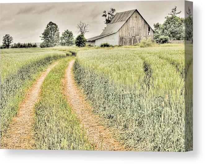 Diamondview Road Canvas Print featuring the photograph Farm on Diamondview Road by Rob Huntley