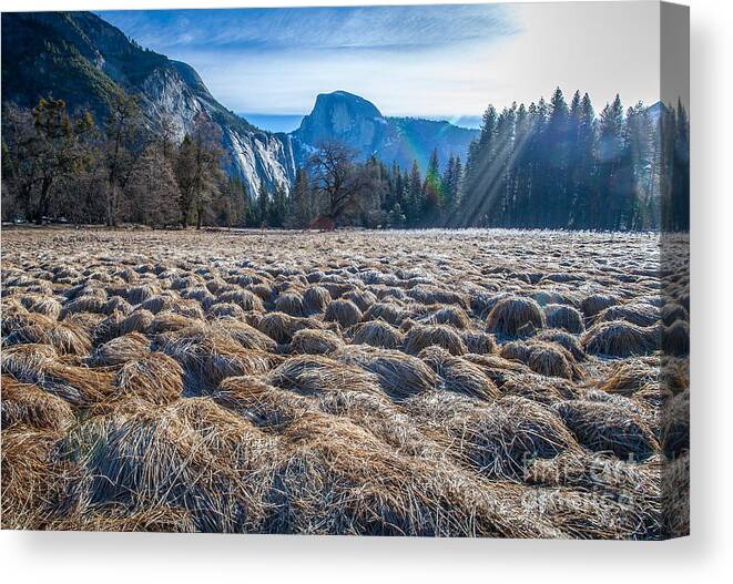 Landscape Canvas Print featuring the photograph Field view by Charles Garcia