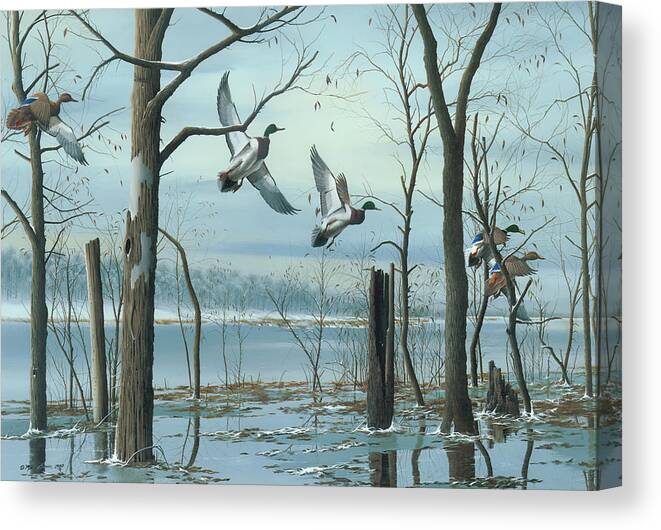 Mallards Canvas Print featuring the painting First Snow by Mike Brown