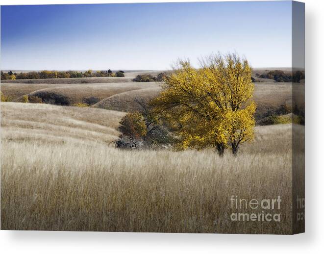 Flint Hills Canvas Print featuring the photograph Flint Hills Autumn 013 by Fred Lassmann