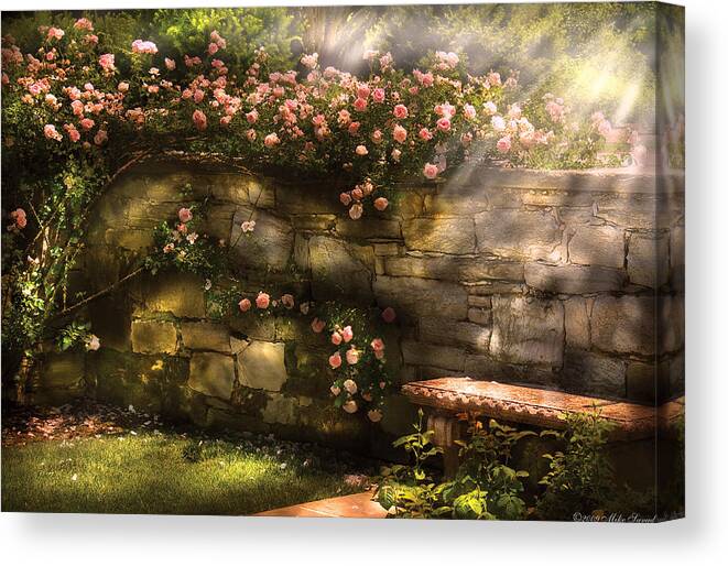 Savad Canvas Print featuring the photograph Flower - Rose - In the rose garden by Mike Savad