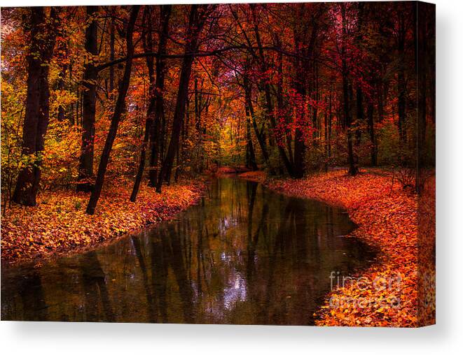 Autumn Canvas Print featuring the photograph Flowing Through The Colors Of Fall by Hannes Cmarits