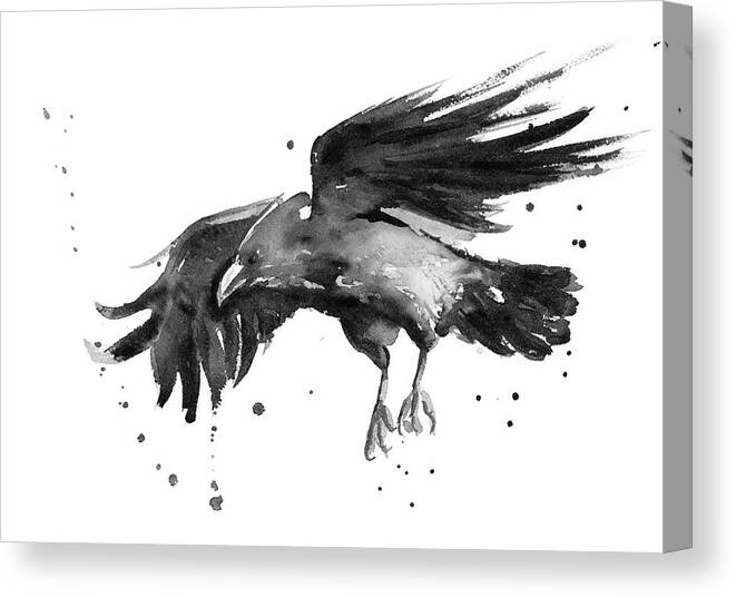 Raven Canvas Print featuring the painting Flying Raven Watercolor by Olga Shvartsur