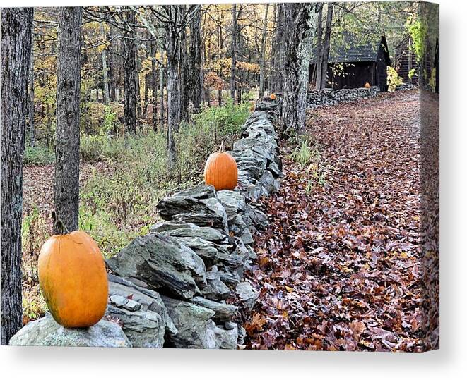 Pumpkins Canvas Print featuring the photograph Follow the Pumpkin Trail by Janice Drew