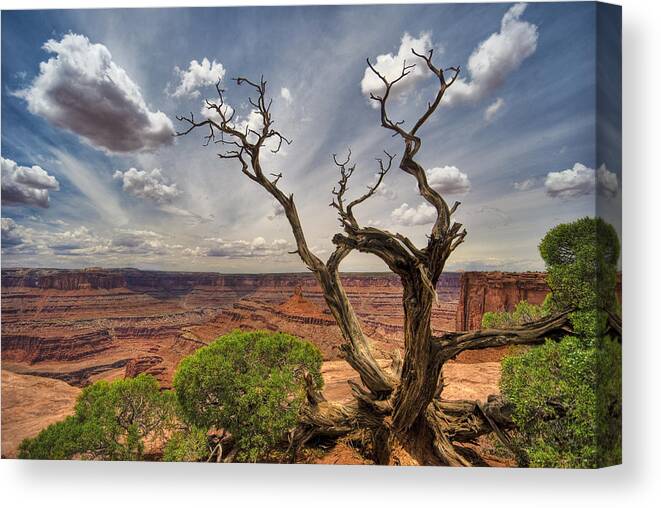 Landscape Canvas Print featuring the photograph Fractured by Ryan Heffron