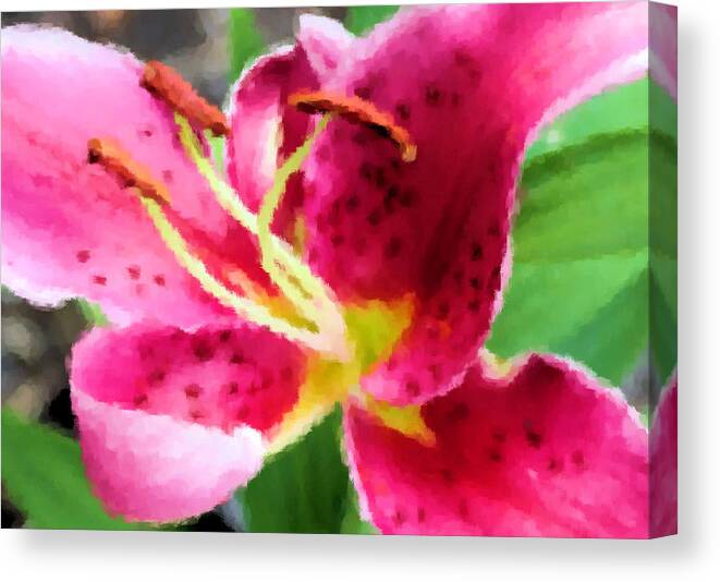 Lily Canvas Print featuring the photograph Fragrant Stargazer by Kristin Elmquist
