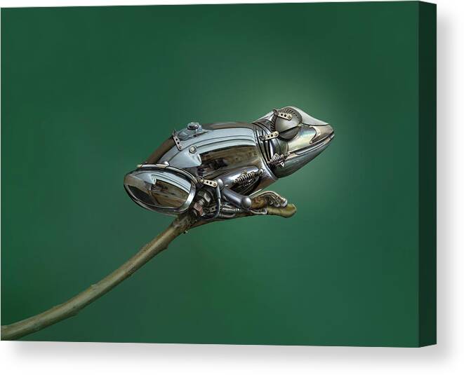 Metal Canvas Print featuring the photograph Frog by Sulaiman Almawash