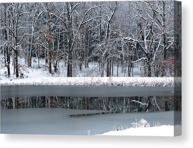 Pond Canvas Print featuring the photograph Frozen by Linda Segerson