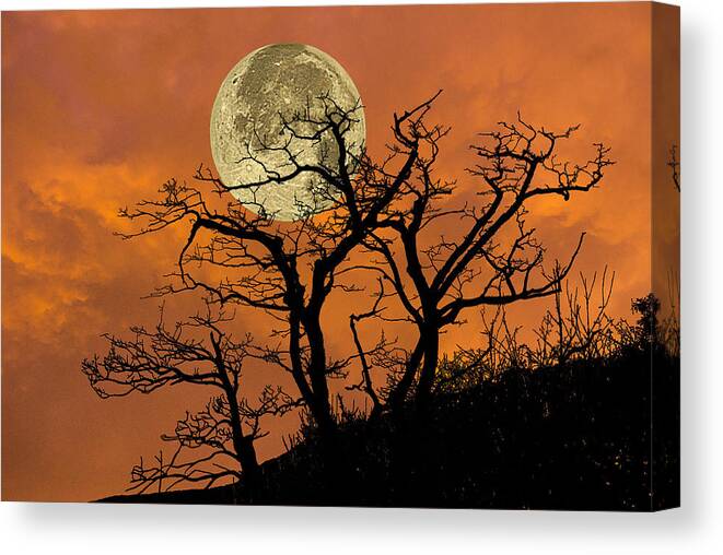 Nature Canvas Print featuring the photograph Full Moon Tree Silhouette by Michael Whitaker