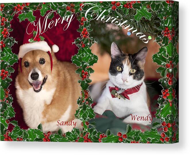 Animals Art Canvas Print featuring the photograph Furry Merry Christmas by Melany Sarafis
