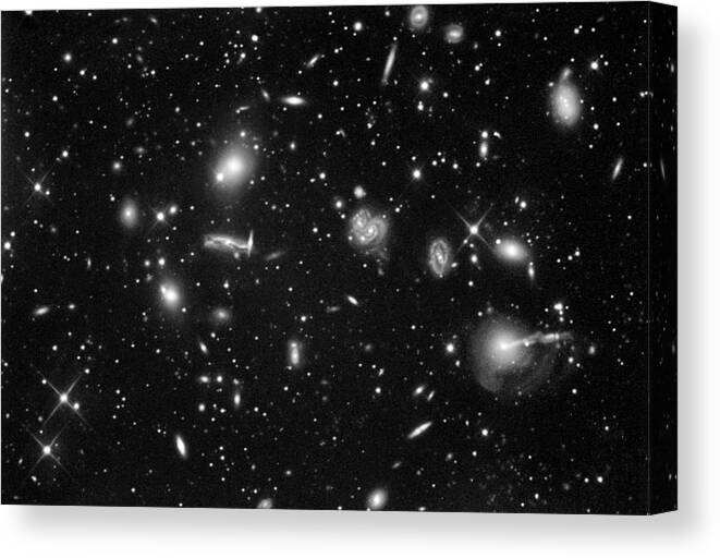 Abell 2151 Canvas Print featuring the photograph Galaxy Cluster by Tony & Daphne Hallas/science Photo Library