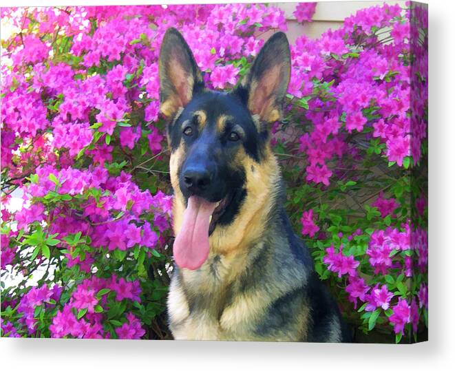 Animal Canvas Print featuring the photograph German Shepherd Dog with Azaleas by Donna Doherty