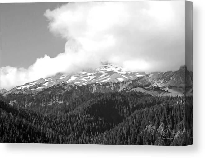 Mount Rainier Canvas Print featuring the photograph Glaciers in the Clouds BW. Mt. Rainier National Park by Connie Fox
