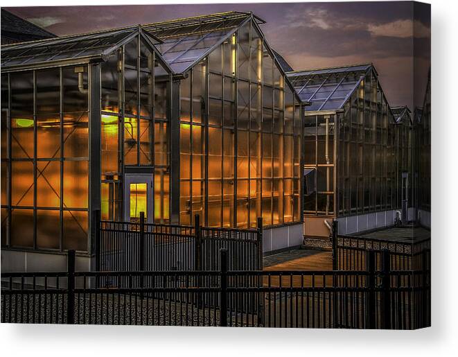 Greenhouse Canvas Print featuring the photograph Glowing Greenhouse by Phil Cardamone