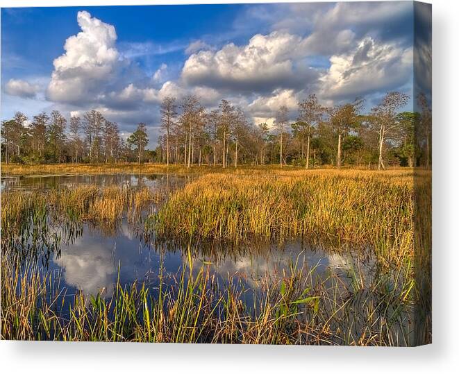 Clouds Canvas Print featuring the photograph Golden Grasses by Debra and Dave Vanderlaan