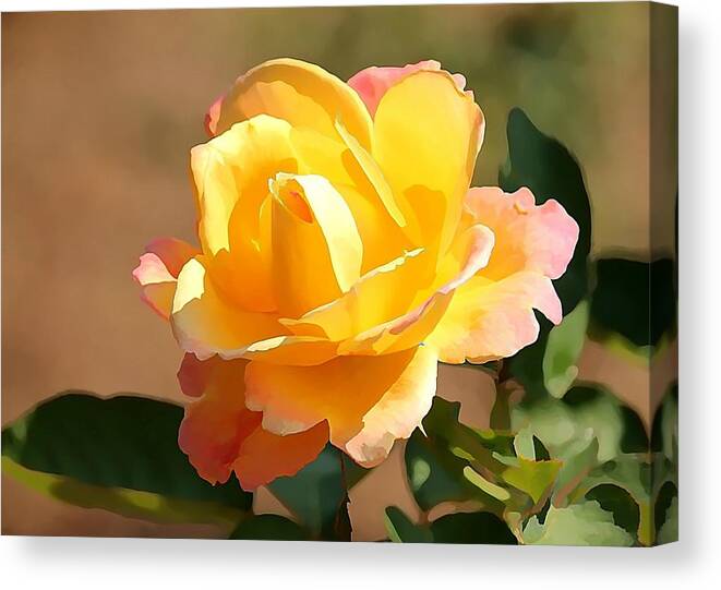 Floral Canvas Print featuring the photograph Golden Petals by Jean Connor