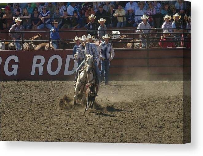 Calf Roping Canvas Print featuring the photograph Got Em by Jeff Swan