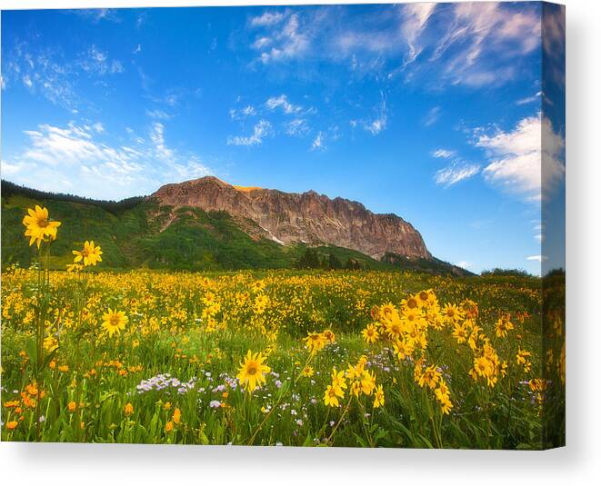 Colorado Landscapes Canvas Print featuring the photograph Gothic Meadow by Darren White