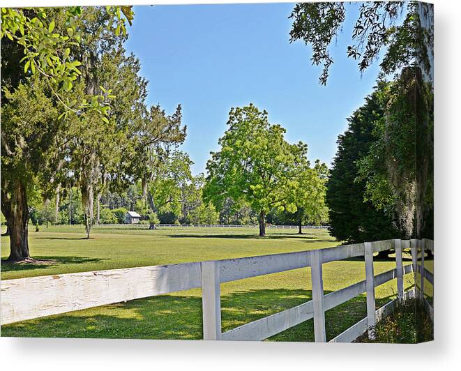 Pasture Canvas Print featuring the photograph Green Pasture by Linda Brown