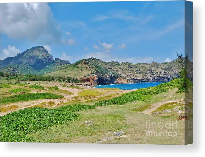 Hawaii Canvas Print featuring the photograph Heaven by William Wyckoff
