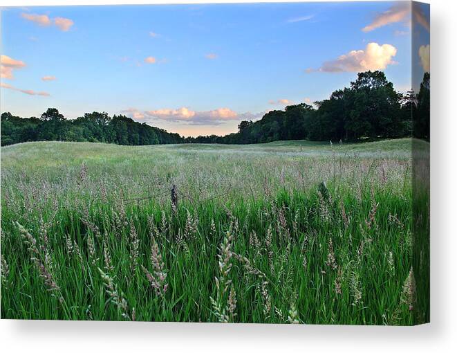 Field Canvas Print featuring the photograph Hebron Field by Andrea Galiffi