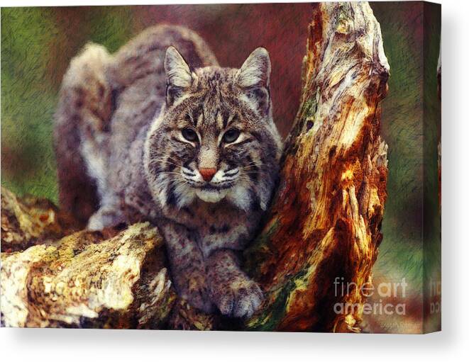  Canvas Print featuring the digital art Here Kitty Kitty by Lianne Schneider