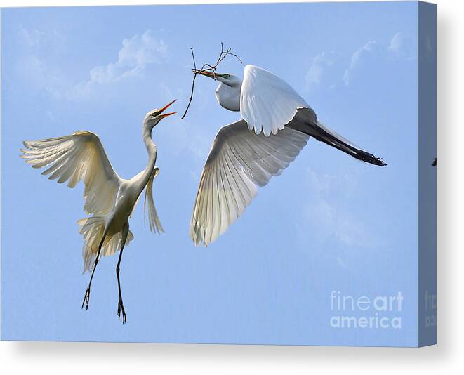 Birds Canvas Print featuring the photograph Hey...Go Find Your Own Stick by Kathy Baccari