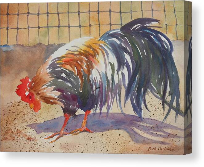 Rooster Canvas Print featuring the painting High Noon by Barbara Parisien