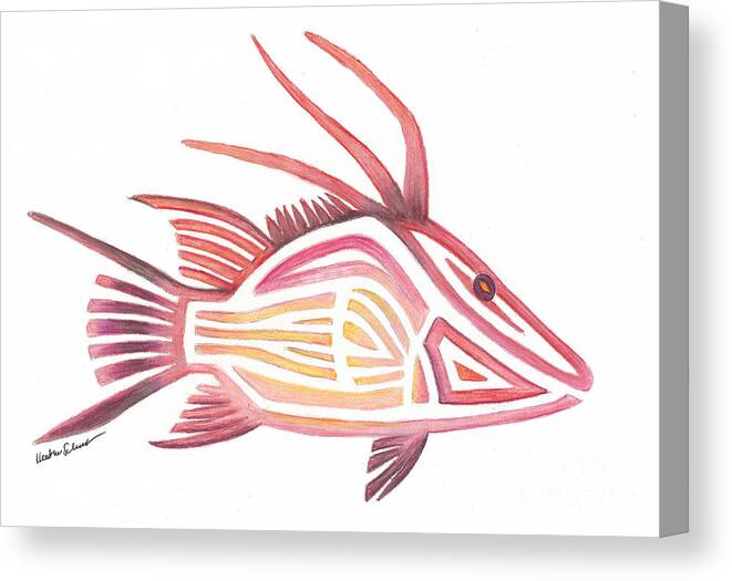Hogfish Canvas Print featuring the photograph Hogfish by Heather Schaefer