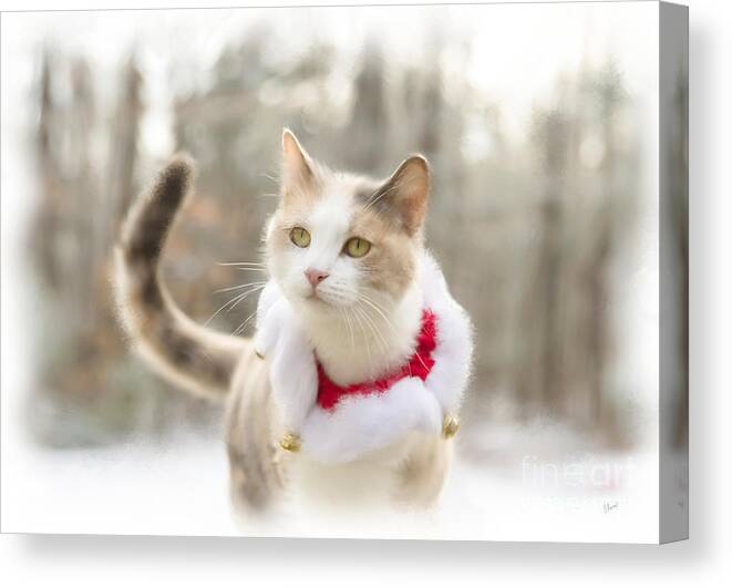 Cat Canvas Print featuring the painting Holiday Cat by Alana Ranney