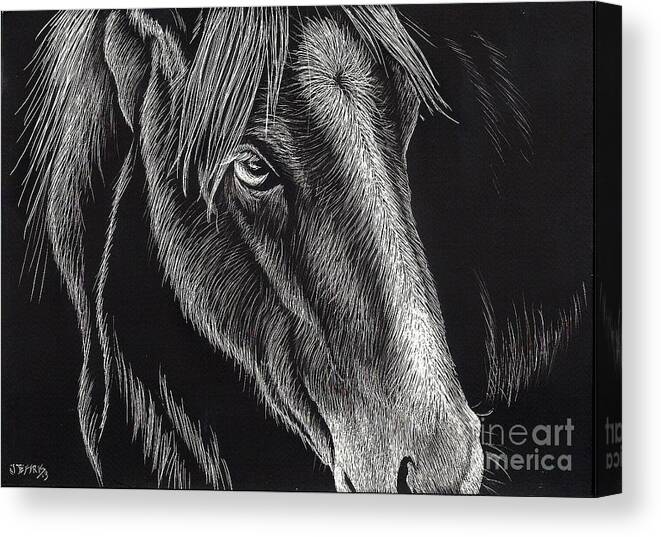 Horse Canvas Print featuring the painting Horse Up Close by Jennifer Jeffris