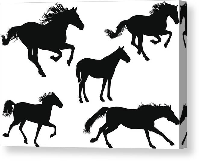 Horse Canvas Print featuring the drawing Horses by AskinTulayOver